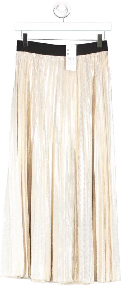 No1 George Street Metallic Louisa Pleated Maxi Skirt